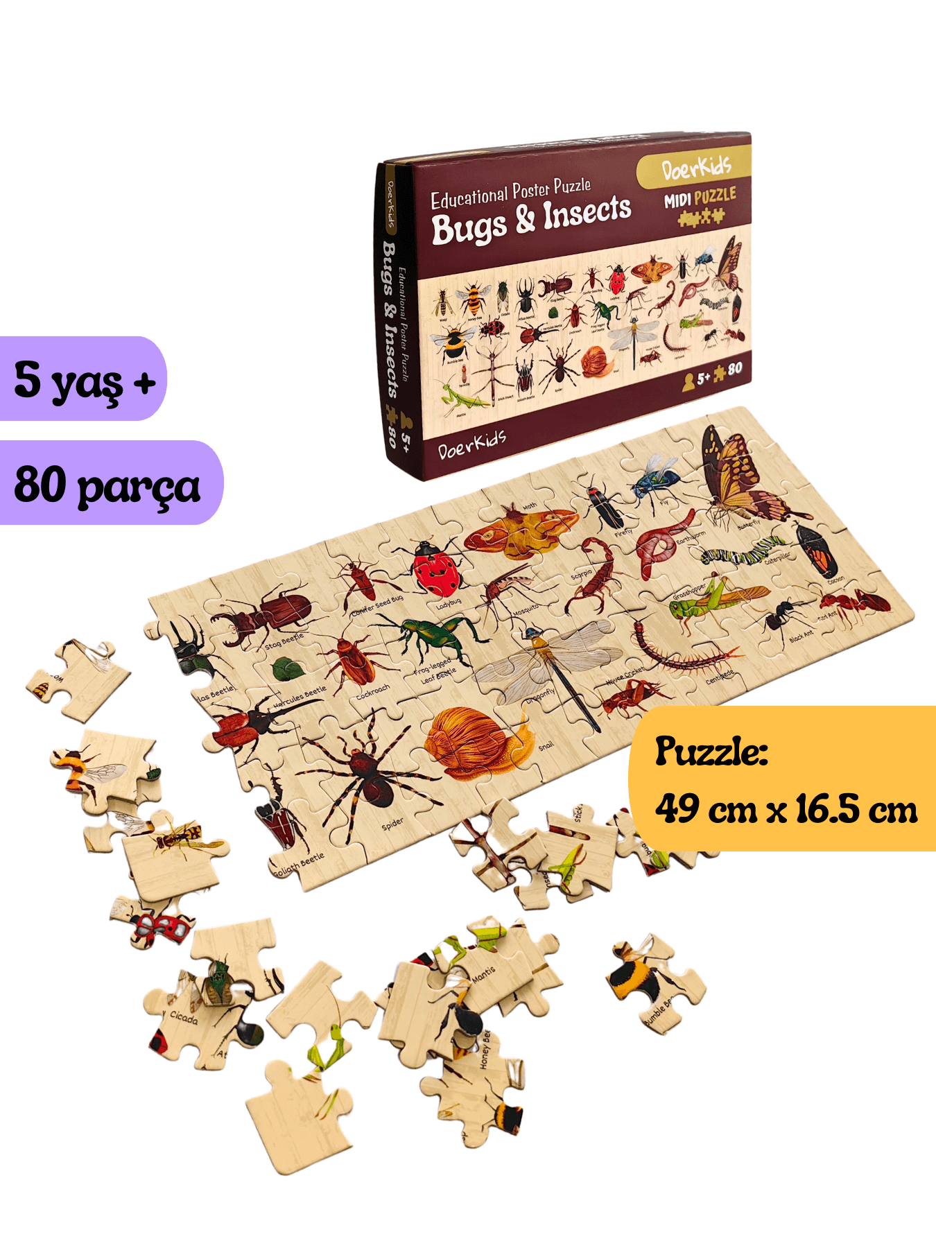 Doerkids%20Bugs%20&%20Insects%20-%20Böcekler%20Midi%20Puzzle%20|%2080%20Parça%205+%20Yaş