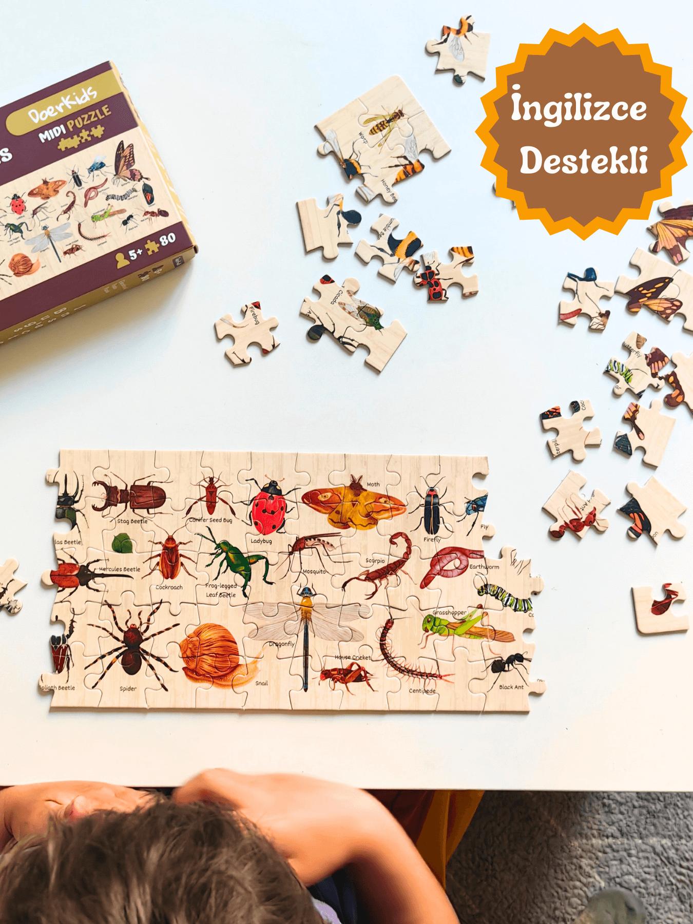 Doerkids%20Bugs%20&%20Insects%20-%20Böcekler%20Midi%20Puzzle%20|%2080%20Parça%205+%20Yaş