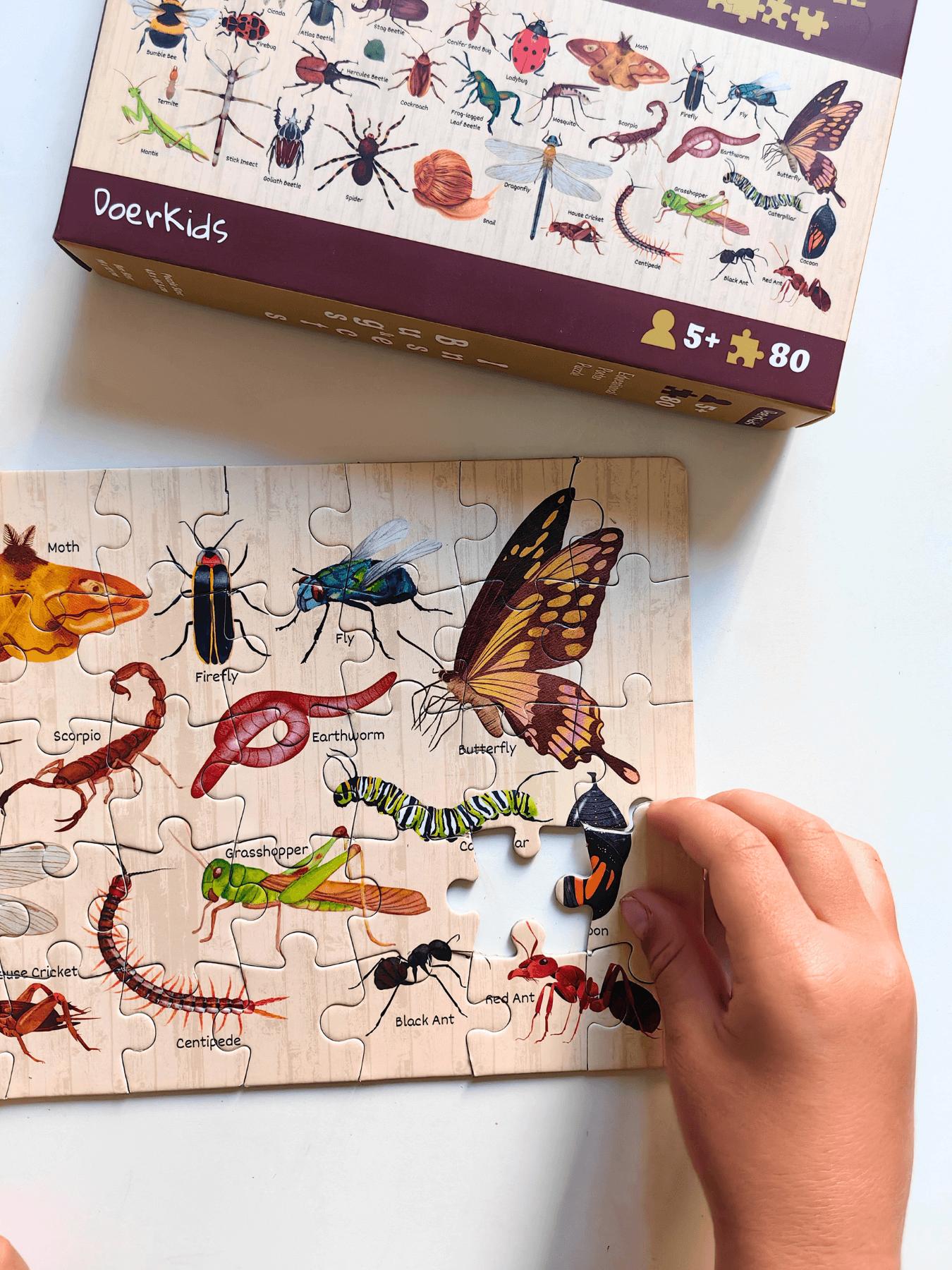 Doerkids%20Bugs%20&%20Insects%20-%20Böcekler%20Midi%20Puzzle%20|%2080%20Parça%205+%20Yaş